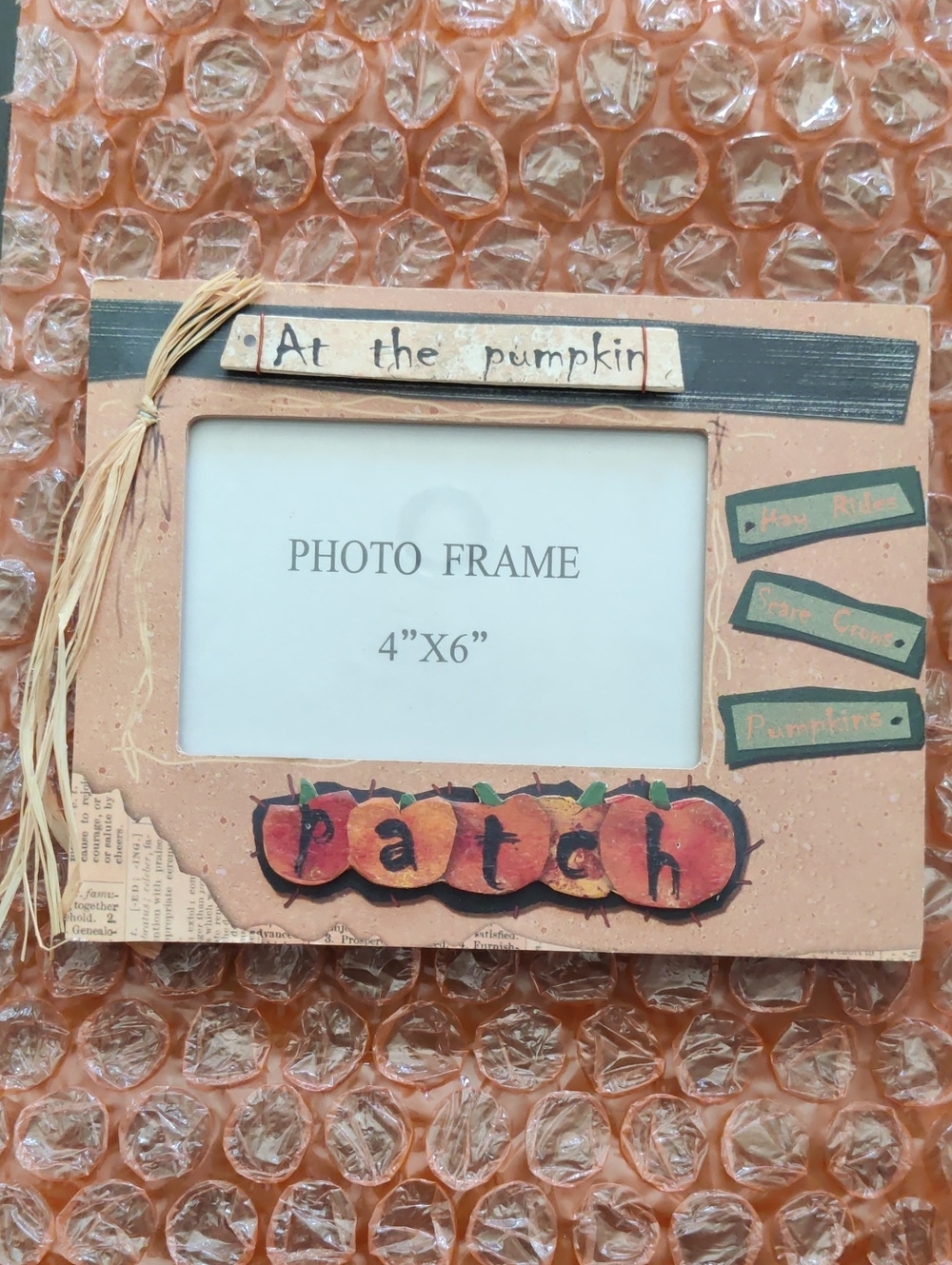 Autumn Pumpkin Patch Decorative Photo Frame - Orange